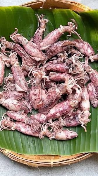 Cumi Asin Rebus Gurih Tanpa Pengawet